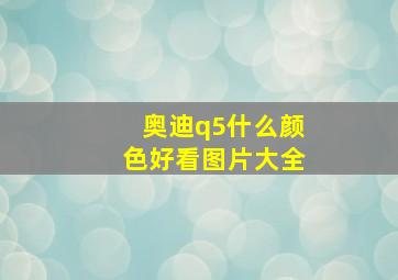 奥迪q5什么颜色好看图片大全