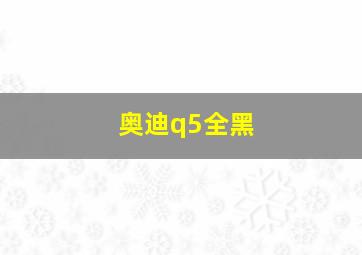 奥迪q5全黑