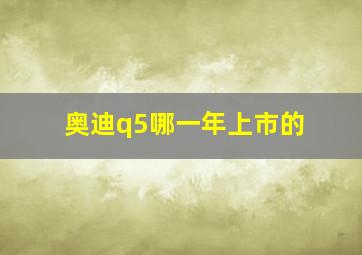 奥迪q5哪一年上市的