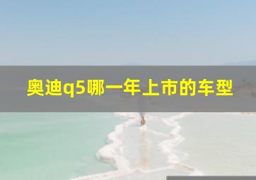 奥迪q5哪一年上市的车型