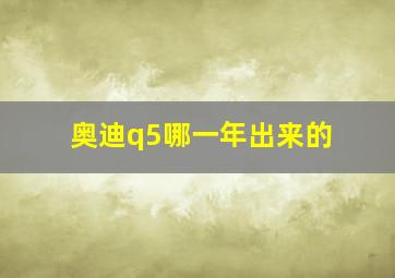 奥迪q5哪一年出来的