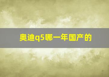 奥迪q5哪一年国产的