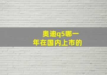 奥迪q5哪一年在国内上市的