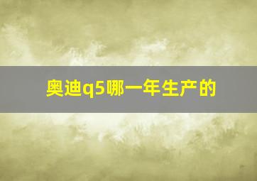 奥迪q5哪一年生产的