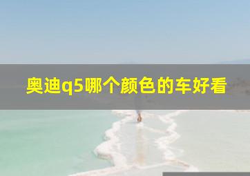 奥迪q5哪个颜色的车好看