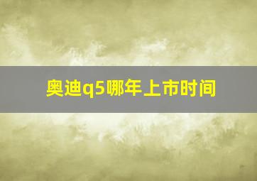 奥迪q5哪年上市时间