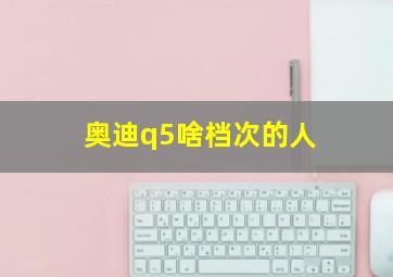 奥迪q5啥档次的人