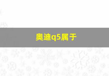 奥迪q5属于