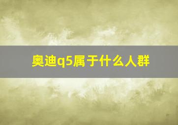 奥迪q5属于什么人群