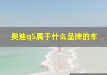 奥迪q5属于什么品牌的车