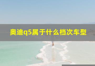 奥迪q5属于什么档次车型