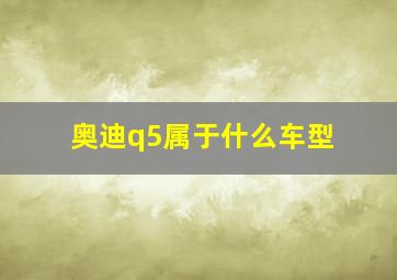 奥迪q5属于什么车型