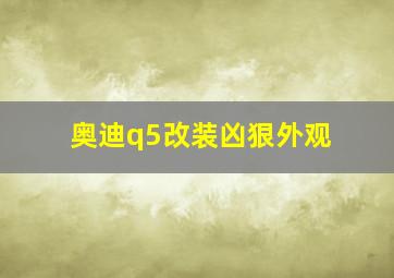 奥迪q5改装凶狠外观