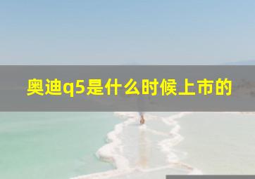 奥迪q5是什么时候上市的