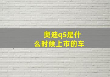 奥迪q5是什么时候上市的车