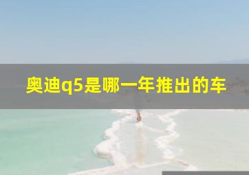 奥迪q5是哪一年推出的车