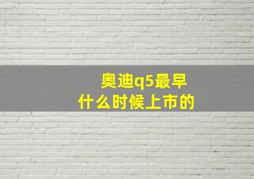 奥迪q5最早什么时候上市的