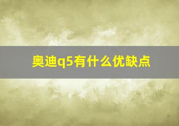 奥迪q5有什么优缺点