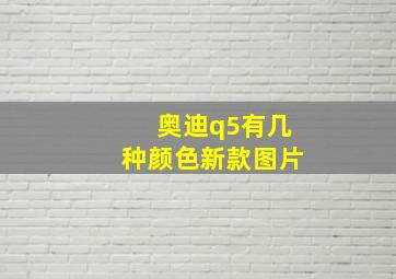 奥迪q5有几种颜色新款图片