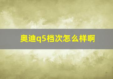 奥迪q5档次怎么样啊