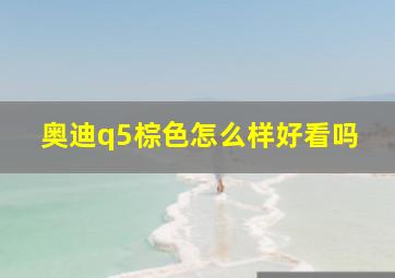 奥迪q5棕色怎么样好看吗