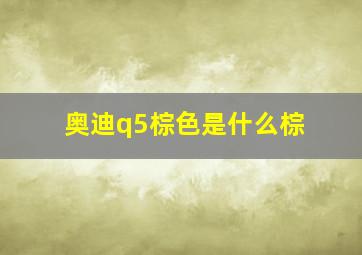 奥迪q5棕色是什么棕