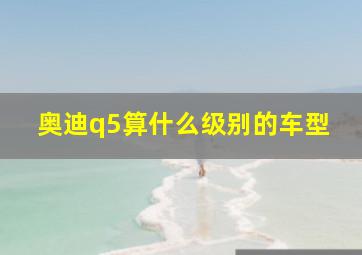 奥迪q5算什么级别的车型