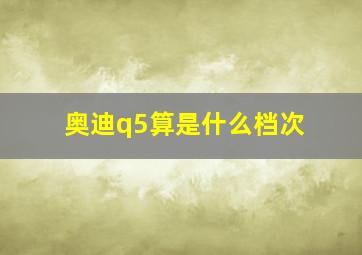 奥迪q5算是什么档次