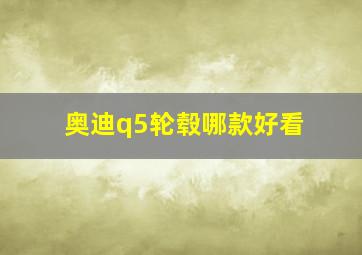 奥迪q5轮毂哪款好看