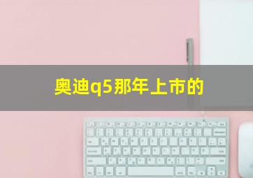 奥迪q5那年上市的