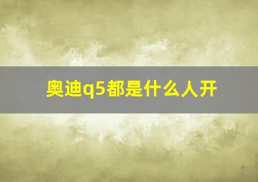 奥迪q5都是什么人开