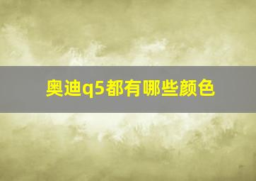 奥迪q5都有哪些颜色