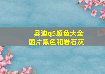 奥迪q5颜色大全图片黑色和岩石灰