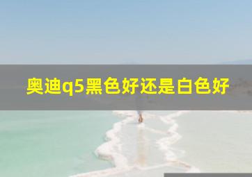 奥迪q5黑色好还是白色好