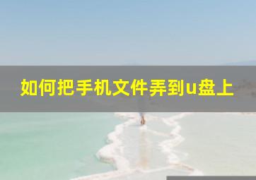 如何把手机文件弄到u盘上