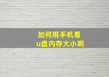 如何用手机看u盘内存大小啊