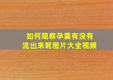 如何观察孕囊有没有流出来呢图片大全视频