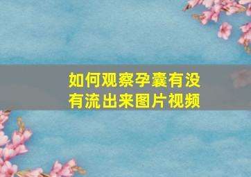 如何观察孕囊有没有流出来图片视频