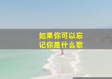 如果你可以忘记你是什么歌