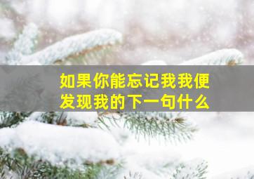 如果你能忘记我我便发现我的下一句什么