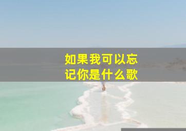 如果我可以忘记你是什么歌