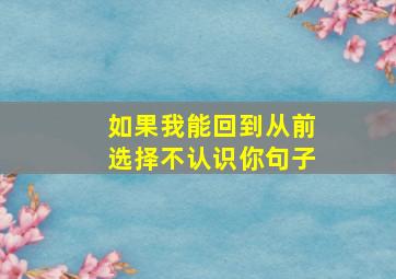 如果我能回到从前选择不认识你句子