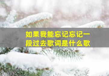 如果我能忘记忘记一段过去歌词是什么歌