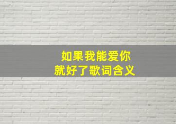 如果我能爱你就好了歌词含义