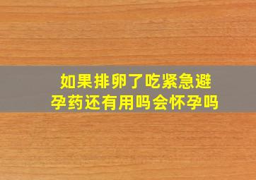 如果排卵了吃紧急避孕药还有用吗会怀孕吗