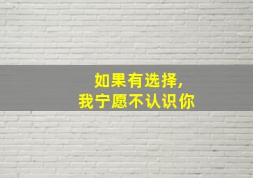 如果有选择,我宁愿不认识你