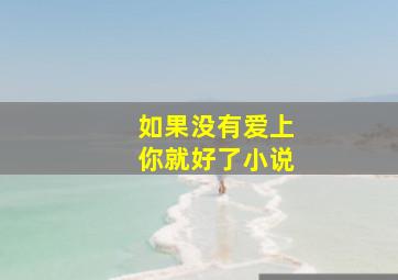 如果没有爱上你就好了小说