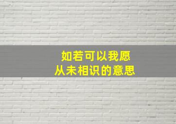 如若可以我愿从未相识的意思