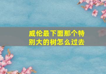 威伦最下面那个特别大的树怎么过去