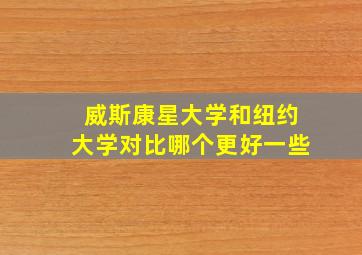 威斯康星大学和纽约大学对比哪个更好一些